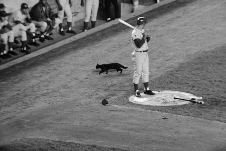 Ron Santo, The Cub Reporter (TCR)